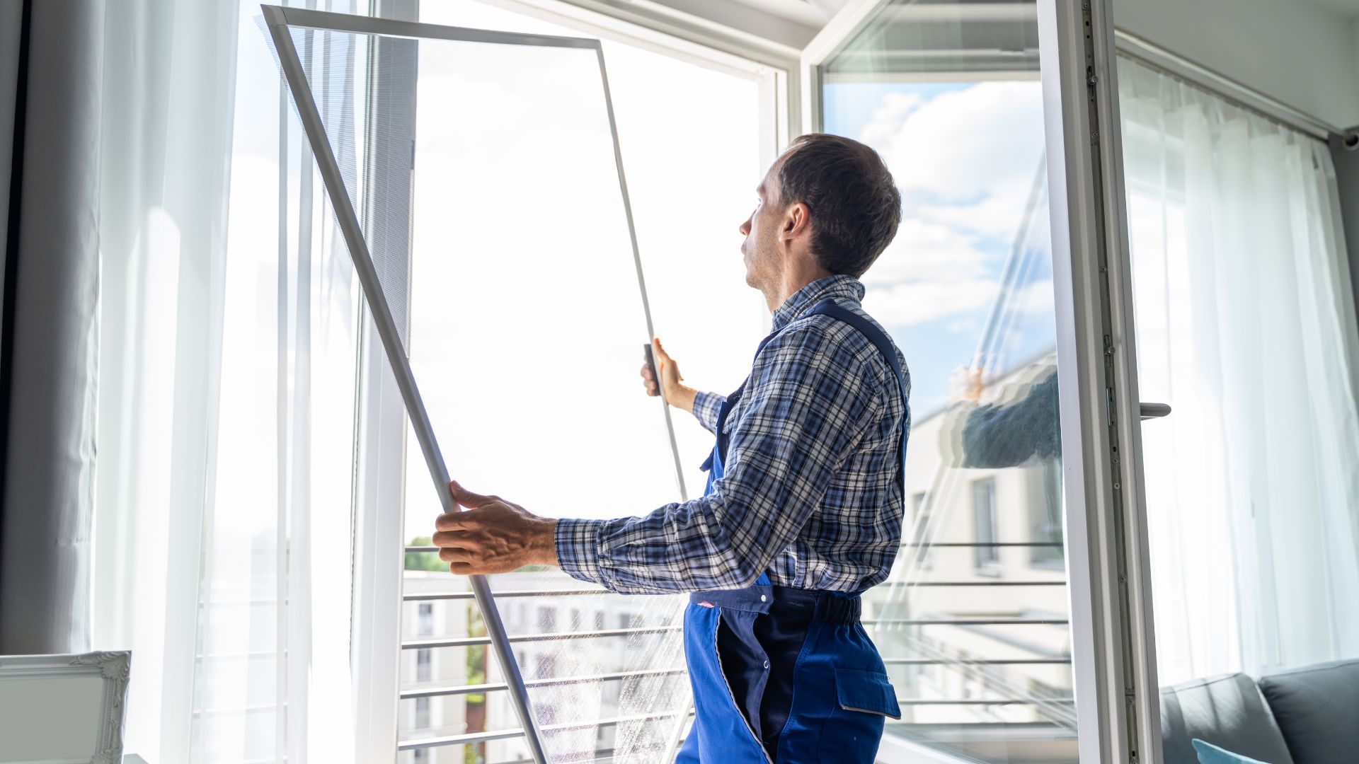 Glass Window Replacement
